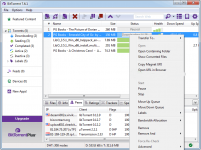 torrent software review